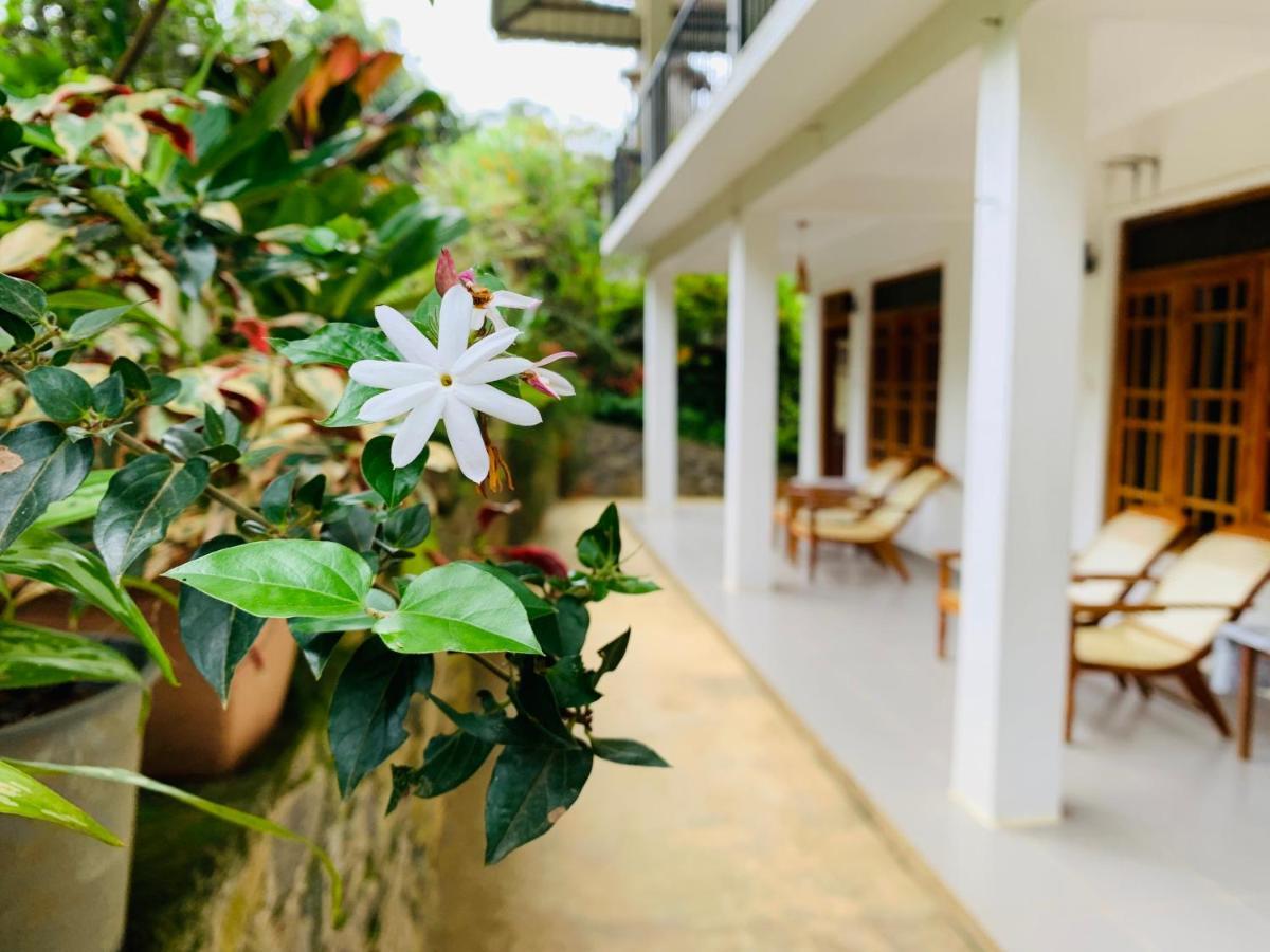 Mount Breeze Ella Hotel Екстериор снимка